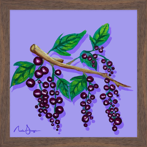 Black Currants Still Life Fine Art Print