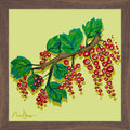 Red Currants Still Life Fine Art Print