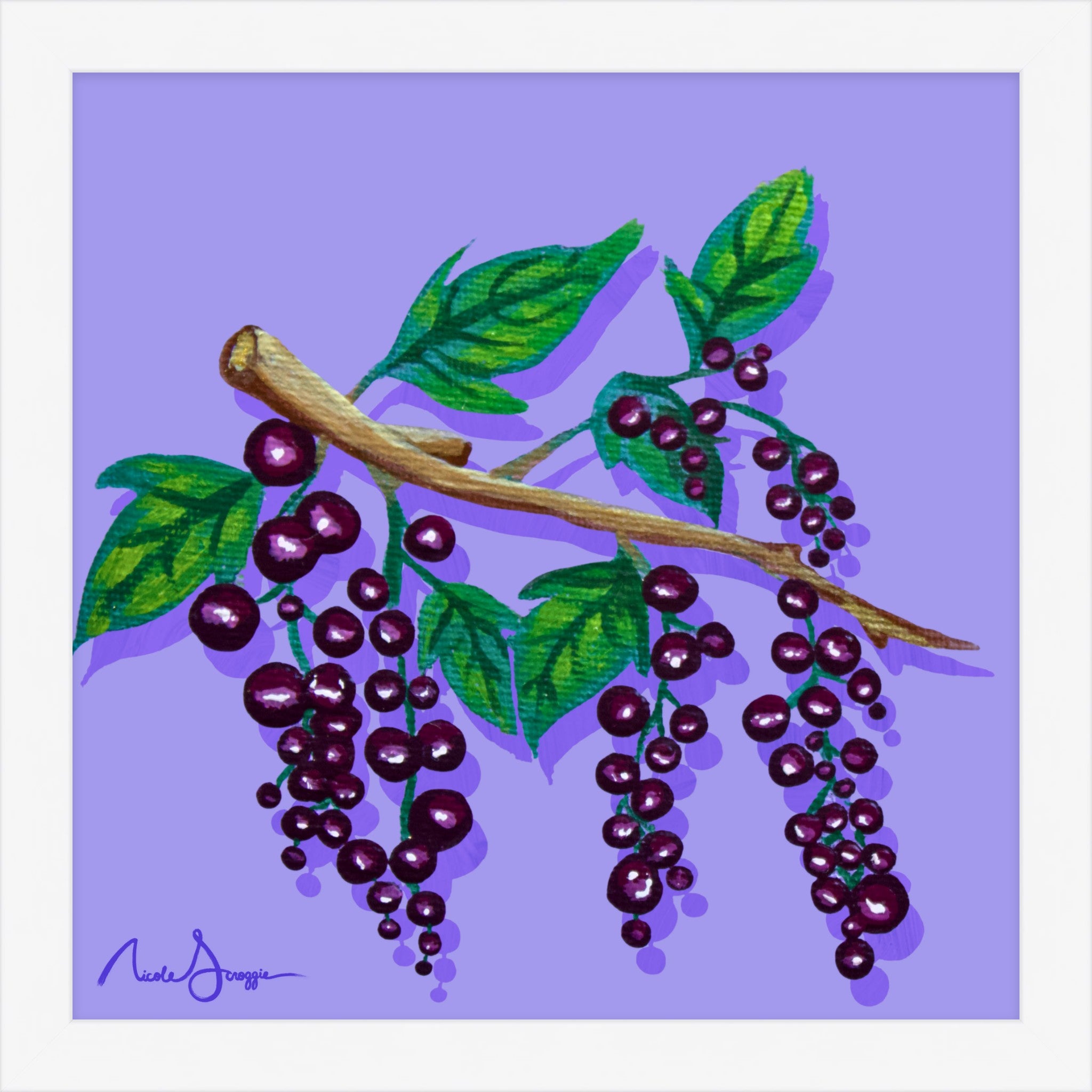 Black Currants Still Life Fine Art Print