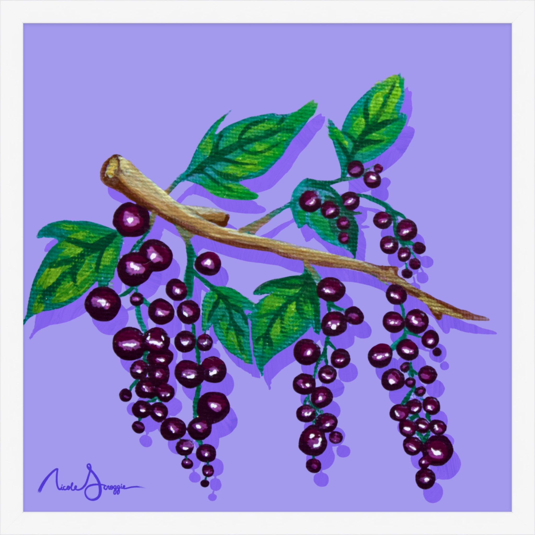 Black Currants Still Life Fine Art Print