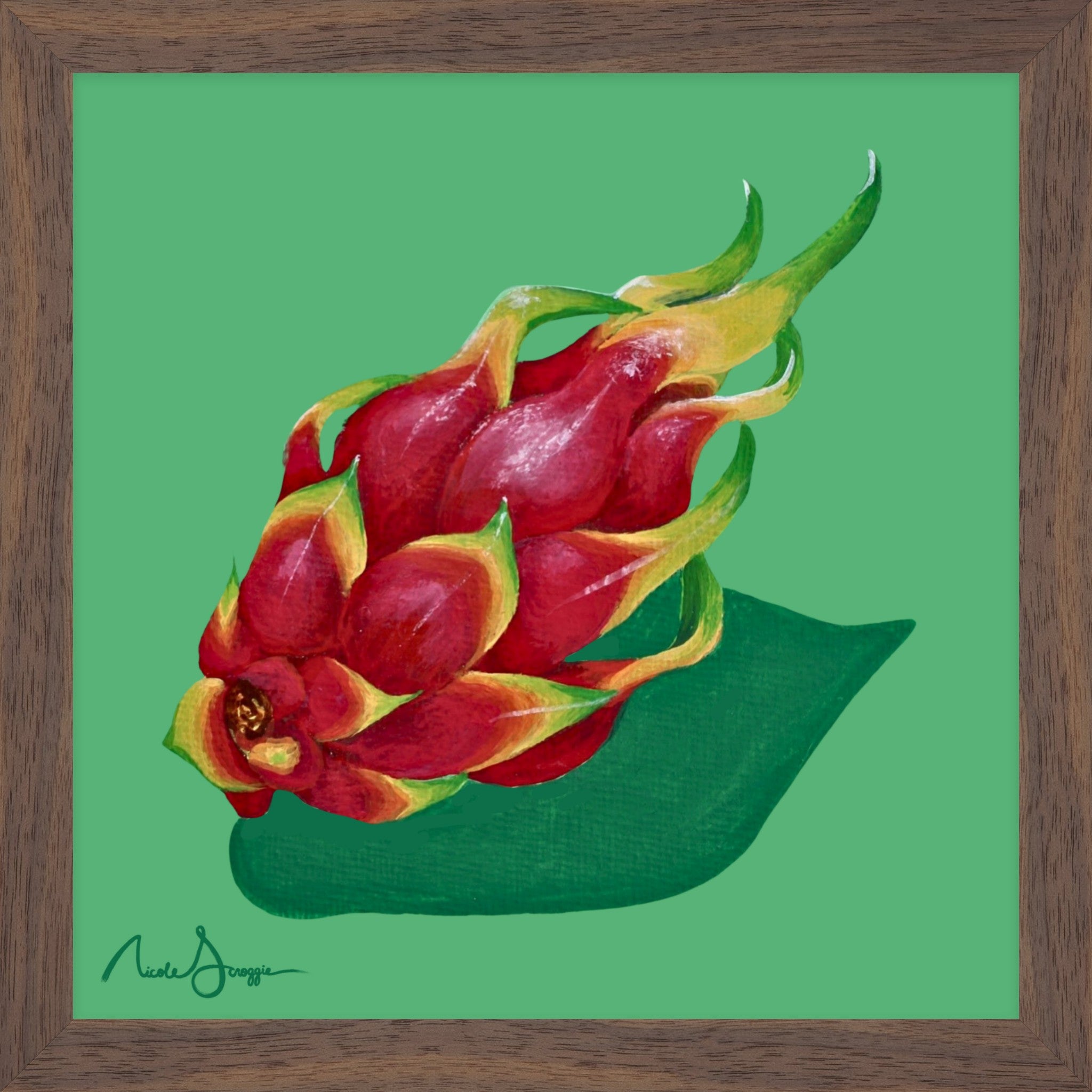 Dragon Fruit Still Life Fine Art Print