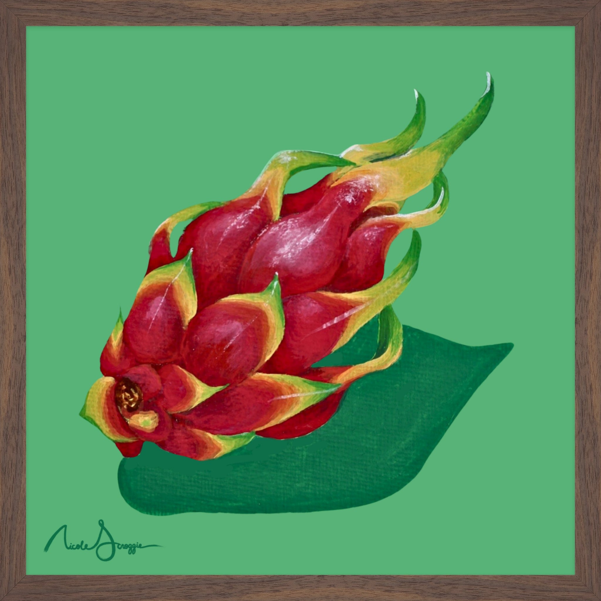 Dragon Fruit Still Life Fine Art Print