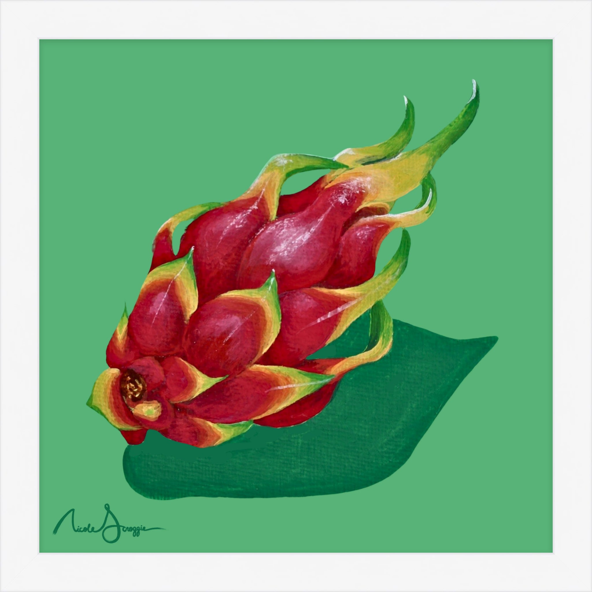 Dragon Fruit Still Life Fine Art Print