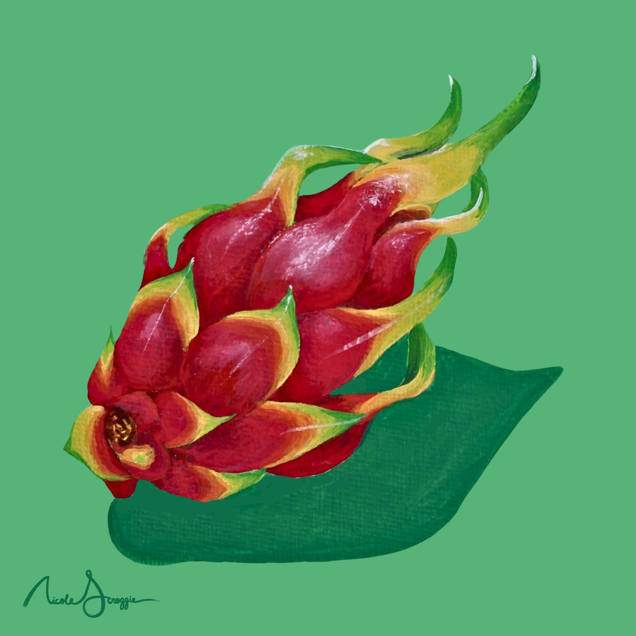 Dragon Fruit Still Life Fine Art Print