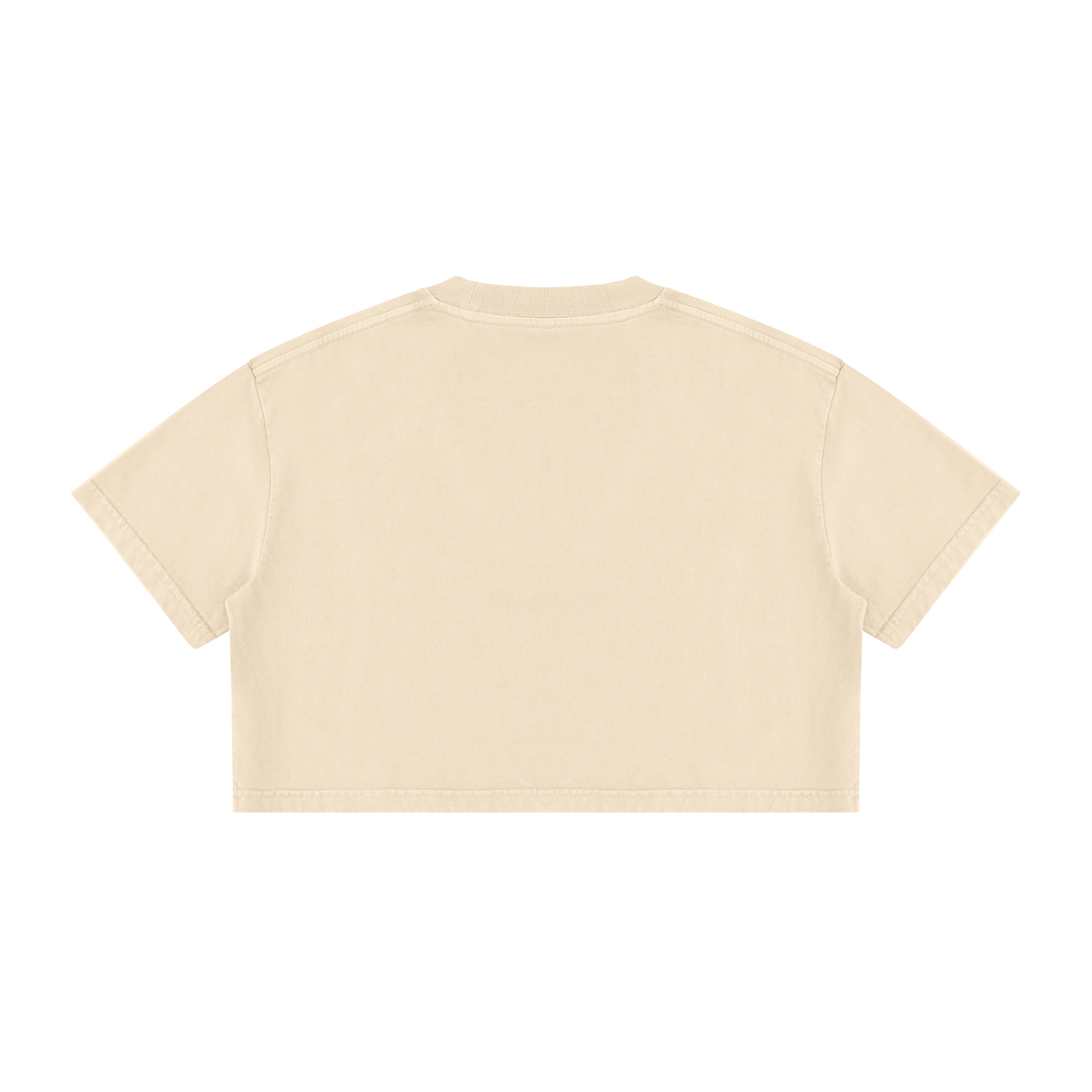 Back view of the Apricot Mineral Wash Cotton Crop T-Shirt.