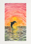 Dolphin at Sunset