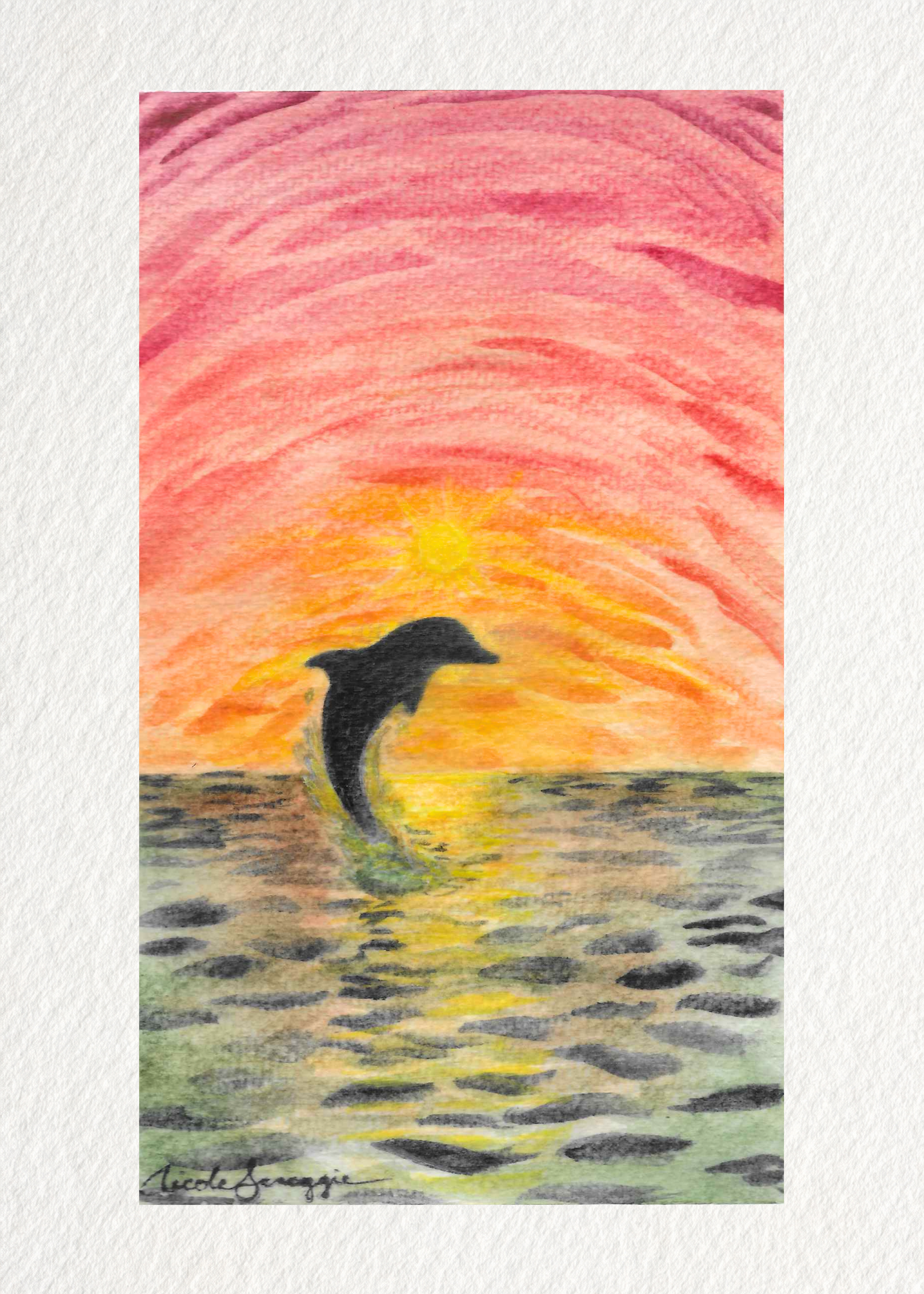 Dolphin at Sunset
