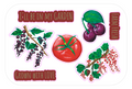 Garden Fruit Sticker Sheet