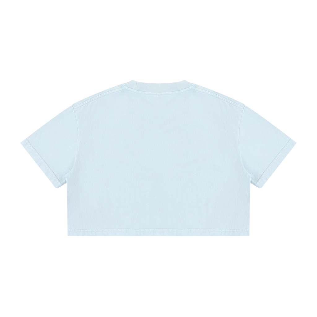 Back view of the Light Blue Mineral Wash Cotton Crop T-Shirt.